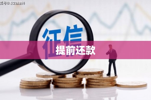 定兴提前还款
