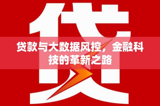 定兴贷款与大数据风控，金融科技的革新之路