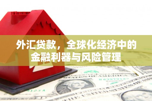 定兴外汇贷款，全球化经济中的金融利器与风险管理