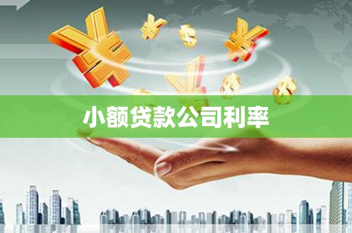 定兴小额贷款公司利率