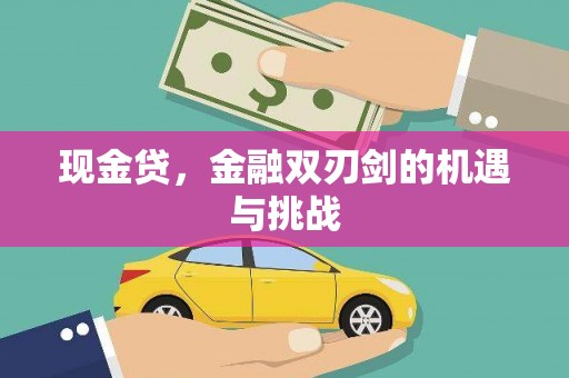 定兴现金贷，金融双刃剑的机遇与挑战