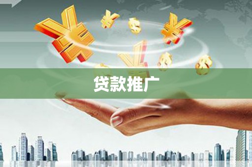 定兴贷款推广