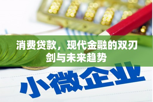 定兴消费贷款，现代金融的双刃剑与未来趋势