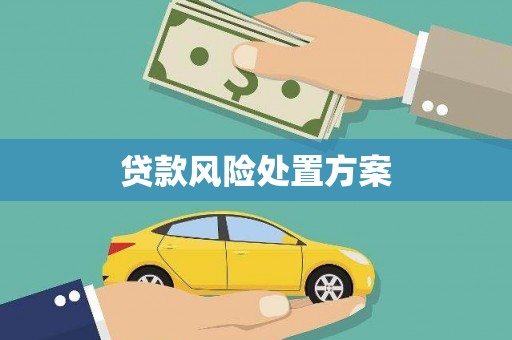 定兴贷款风险处置方案