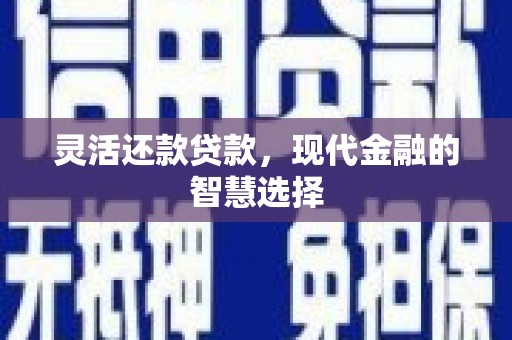 定兴灵活还款贷款，现代金融的智慧选择
