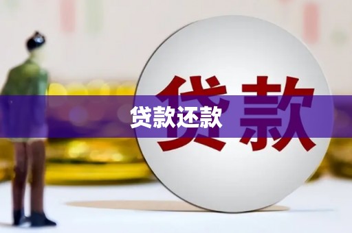 定兴贷款还款