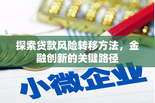 定兴探索贷款风险转移方法，金融创新的关键路径