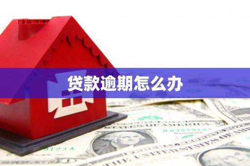 定兴贷款逾期怎么办