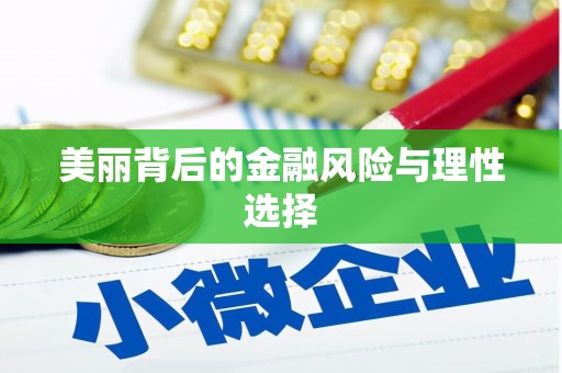 定兴美丽背后的金融风险与理性选择