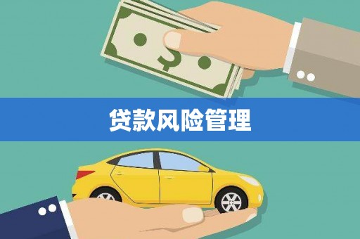 定兴贷款风险管理