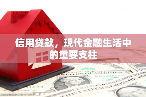 定兴信用贷款，现代金融生活中的重要支柱