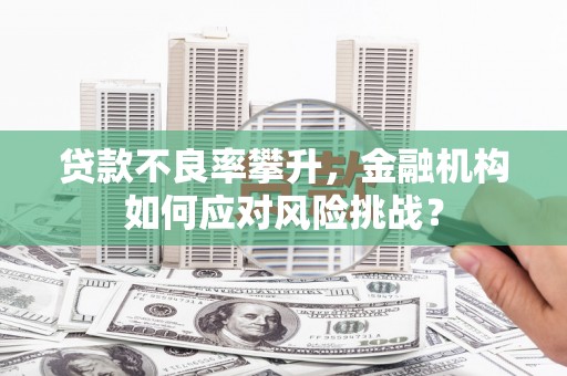 定兴贷款不良率攀升，金融机构如何应对风险挑战？
