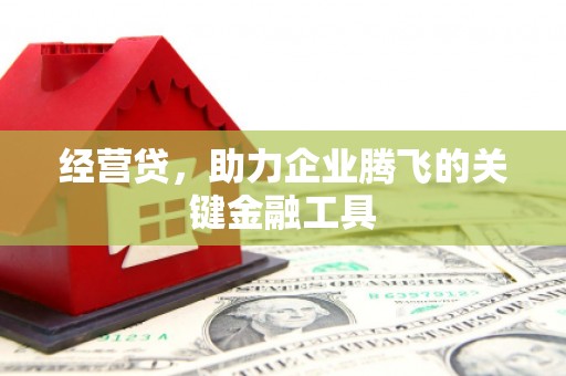 定兴经营贷，助力企业腾飞的关键金融工具