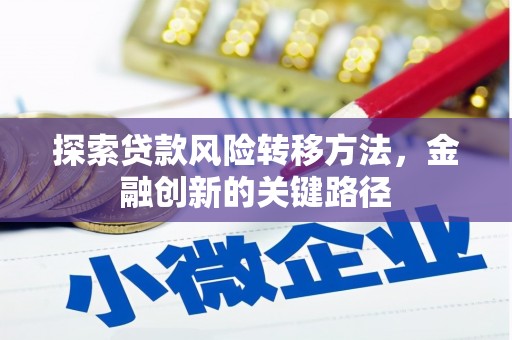 定兴探索贷款风险转移方法，金融创新的关键路径