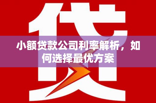 定兴小额贷款公司利率解析，如何选择最优方案
