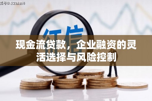 定兴现金流贷款，企业融资的灵活选择与风险控制