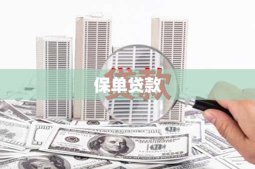 定兴保单贷款