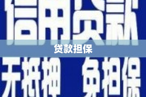 定兴贷款担保