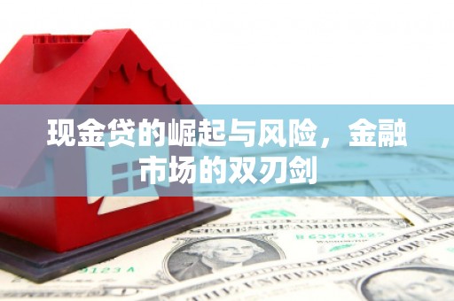 定兴现金贷的崛起与风险，金融市场的双刃剑