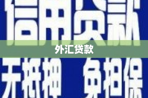 定兴外汇贷款