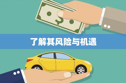 定兴了解其风险与机遇