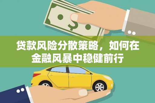 定兴贷款风险分散策略，如何在金融风暴中稳健前行