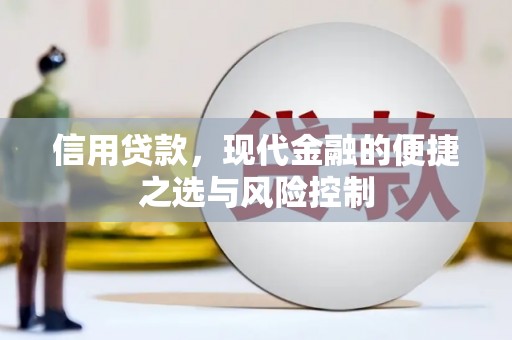 定兴信用贷款，现代金融的便捷之选与风险控制
