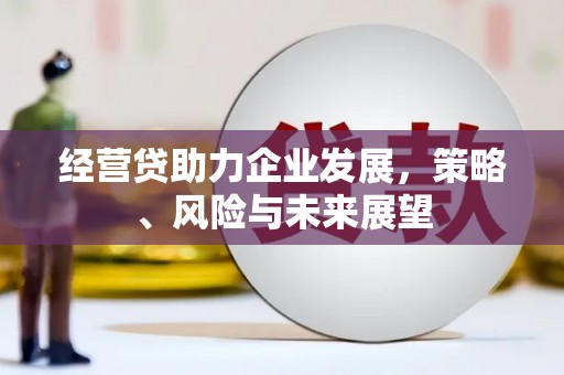 定兴经营贷助力企业发展，策略、风险与未来展望