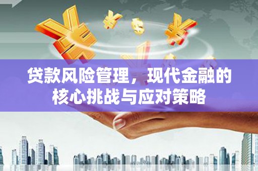 定兴贷款风险管理，现代金融的核心挑战与应对策略