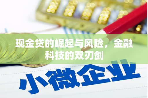 定兴现金贷的崛起与风险，金融科技的双刃剑