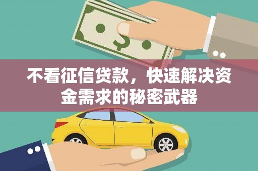 定兴不看征信贷款，快速解决资金需求的秘密武器