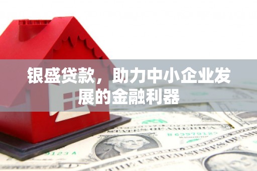 定兴银盛贷款，助力中小企业发展的金融利器