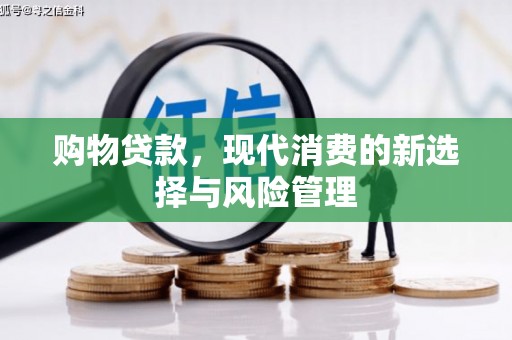 定兴购物贷款，现代消费的新选择与风险管理