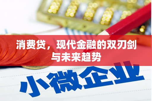 定兴消费贷，现代金融的双刃剑与未来趋势