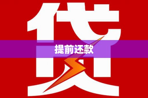 定兴提前还款