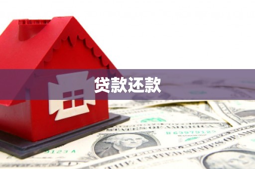 定兴贷款还款