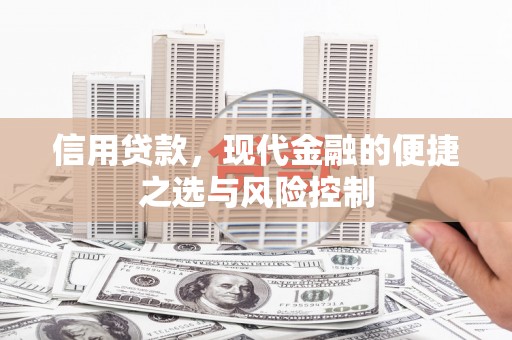 定兴信用贷款，现代金融的便捷之选与风险控制