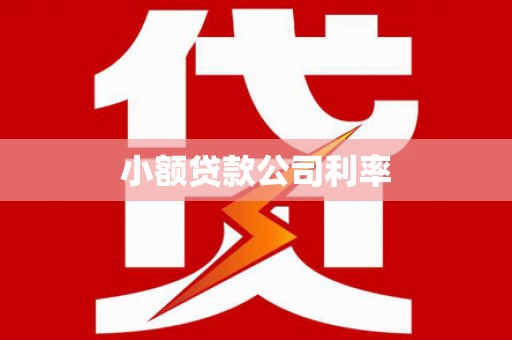 定兴小额贷款公司利率