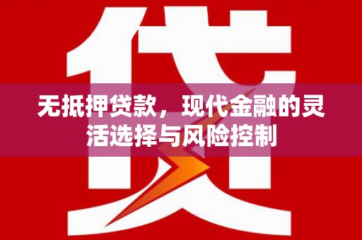 定兴无抵押贷款，现代金融的灵活选择与风险控制