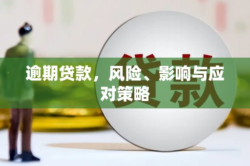 定兴逾期贷款，风险、影响与应对策略