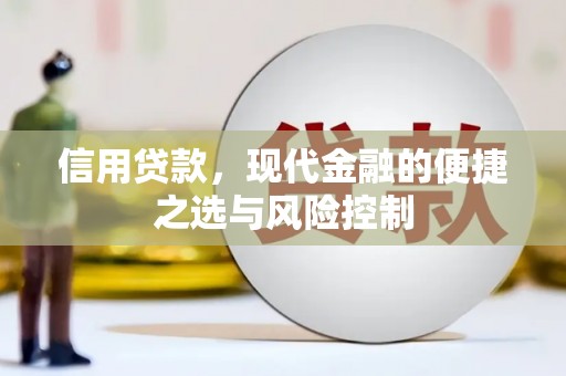 定兴信用贷款，现代金融的便捷之选与风险控制