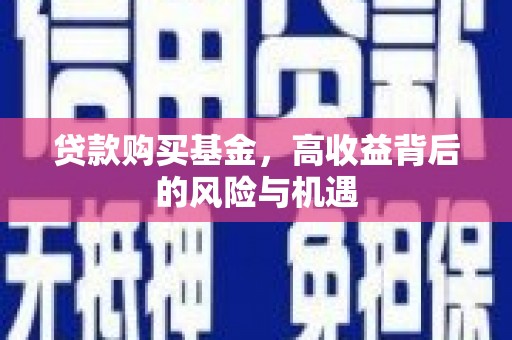 定兴贷款购买基金，高收益背后的风险与机遇