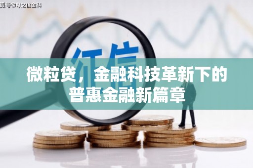 定兴微粒贷，金融科技革新下的普惠金融新篇章