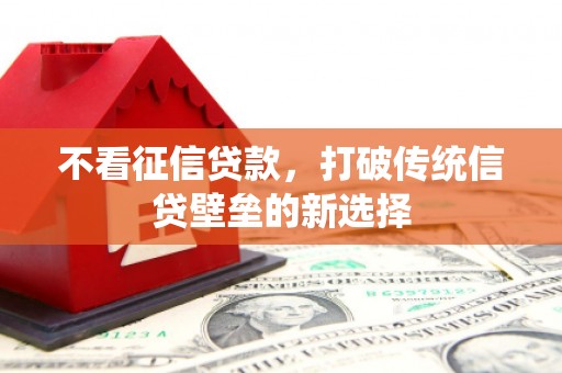 定兴不看征信贷款，打破传统信贷壁垒的新选择