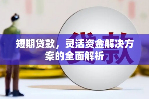 定兴短期贷款，灵活资金解决方案的全面解析