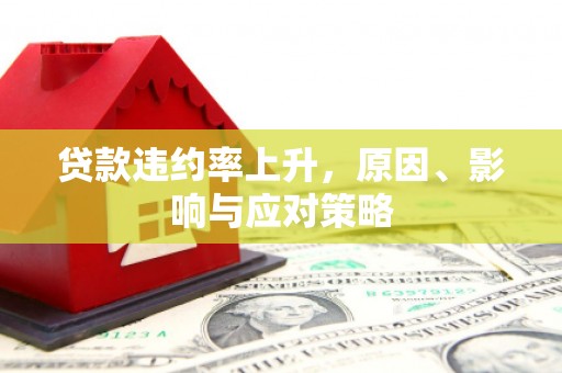 定兴贷款违约率上升，原因、影响与应对策略