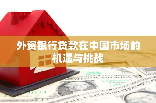 定兴外资银行贷款在中国市场的机遇与挑战
