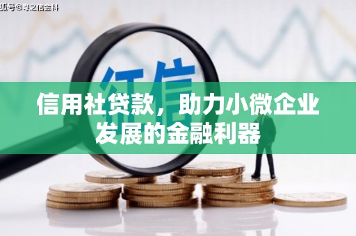 定兴信用社贷款，助力小微企业发展的金融利器