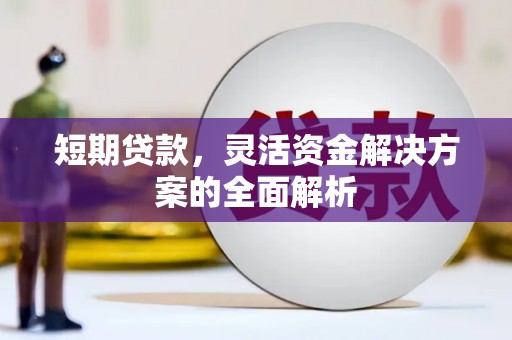 定兴短期贷款，灵活资金解决方案的全面解析