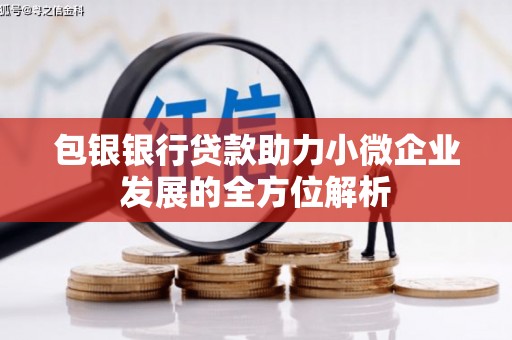 定兴包银银行贷款助力小微企业发展的全方位解析